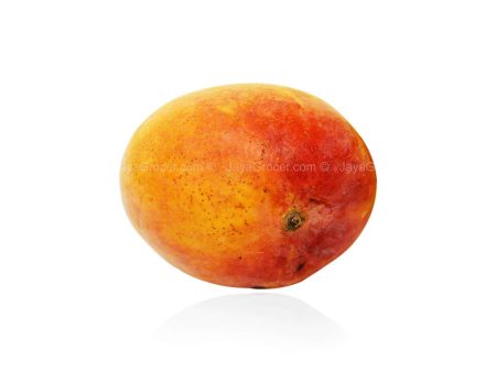 R2E2 Mango (Thailand) 1kg For Cheap