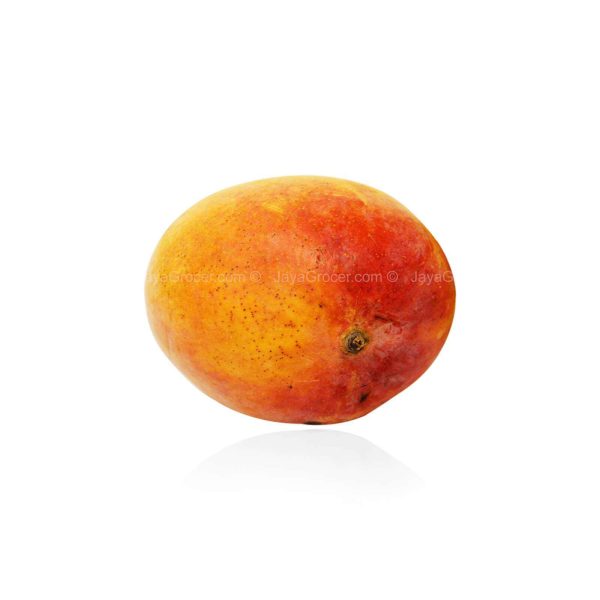 R2E2 Mango (Thailand) 1kg For Cheap