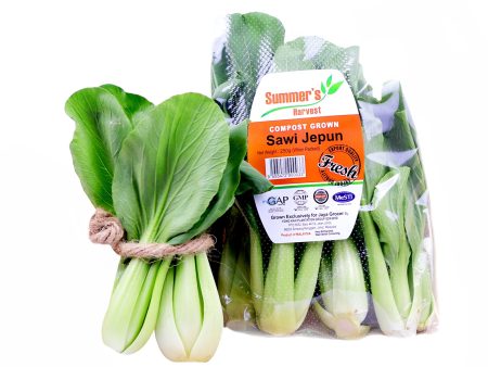 Summer Harvest Siow Pak Choy (Sawi Jepun) (Malaysia) 250g Online