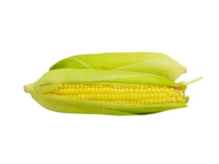 Sweet Corn Yellow (Malaysia) Online Hot Sale