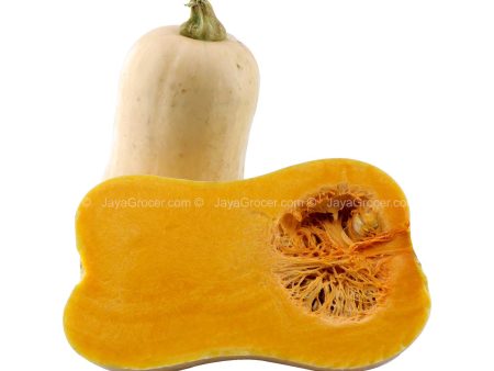 Butternut Pumpkin (Australia) 1kg For Cheap