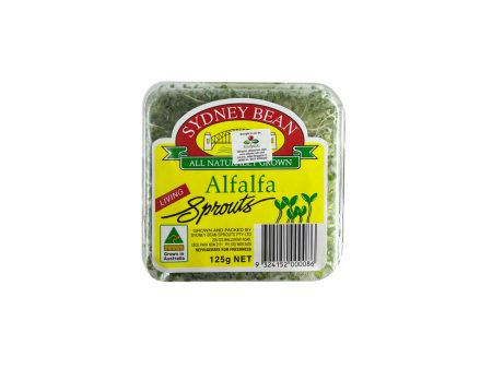 Alfalfa Sprout (Australia) 125g Hot on Sale