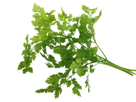 Genting Garden Chervil Leaves 10g Online now