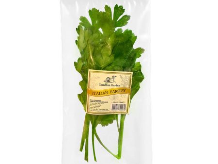 Cameron Garden Italian Parsley Herb (Malaysia) 10g Online Sale