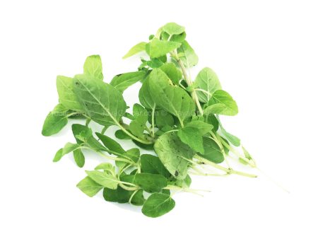 Genting Garden Marjoram Leaves 10g Supply