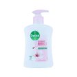 Dettol Antibacterial Skincare Liquid Hand Wash 250ml For Cheap