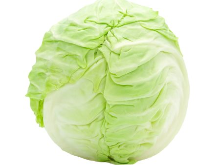 Beijing Cabbage (China) 600g Online