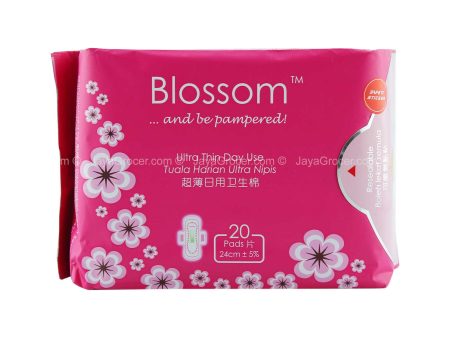 Blossom Ultra Thin Day Use Wing Pad 24cm x 20 Online Hot Sale