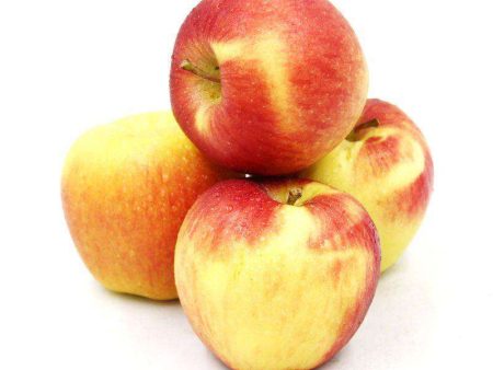 Organic SugarBee Apple (USA) 4pcs pack Cheap