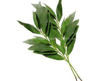 Bay Leaf 25g Online Sale