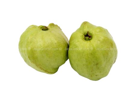 Seedless Guava (Malaysia) 500g For Sale