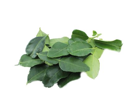 Kaffir Lime Leaves (Daun Limau Purut) (Malaysia) 20g Hot on Sale