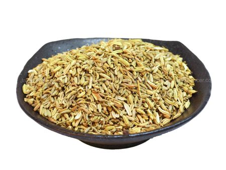 Fennel Seed (Jintan Manis) Supply