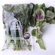 Pure Green Red Spinach (Malaysia) 250g on Sale