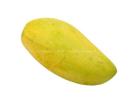 Golden Phoenix Mango (Thailand) 1kg For Cheap