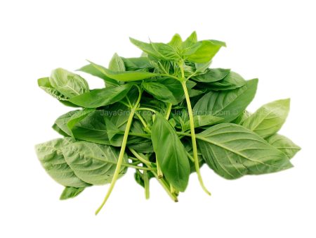 Genting Garden Sweet Basil Leaves (Malaysia) 50g Discount