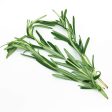 Genting Garden Rosemary Leaves (Malaysia) 10g Sale