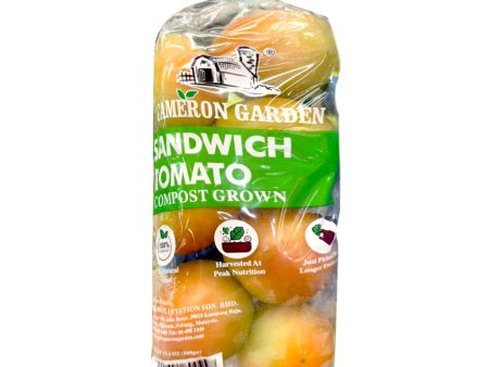 Cameron Garden Tomato (Malaysia) 500g Online Sale