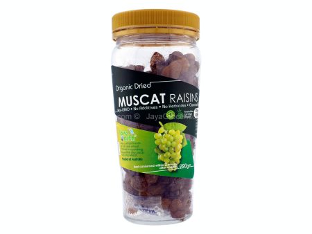 Love Earth Organic Dried Muscat Raisins 220g Supply