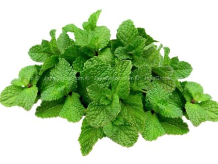 Cameron Garden Mint Leaf (Malaysia) 100g Cheap