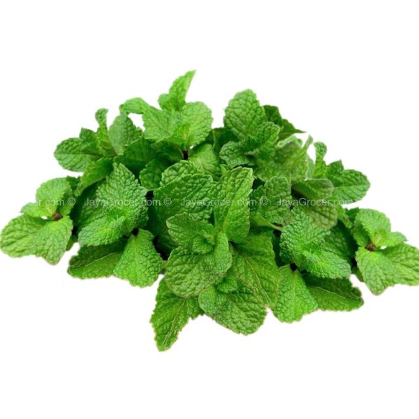 Cameron Garden Mint Leaf (Malaysia) 100g Cheap