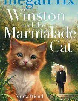 Megan Rix: Winston and the Marmalade Cat [2017] paperback For Sale